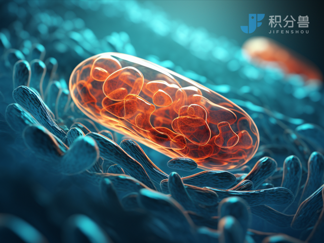 如何在小型企业中实施成功的积分制度？